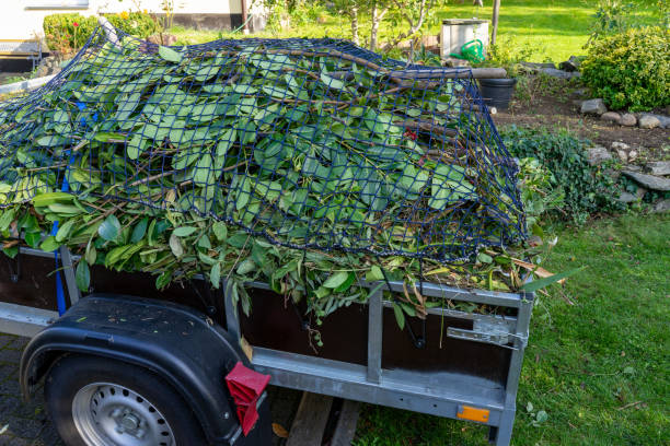 Best Hoarding Cleanup  in Mount Zion, IL